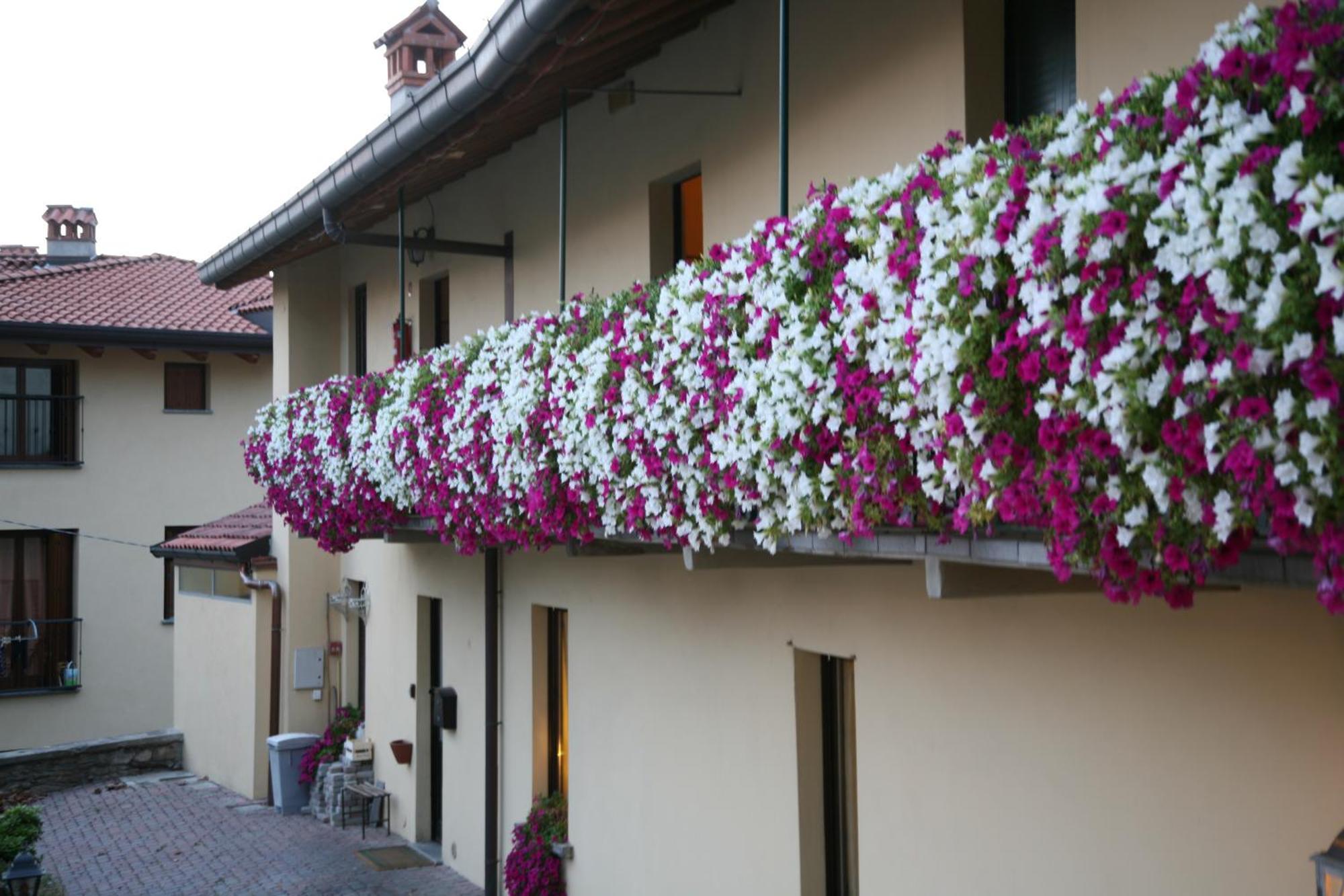 Locanda Dell'Oca Bianca 코모 외부 사진